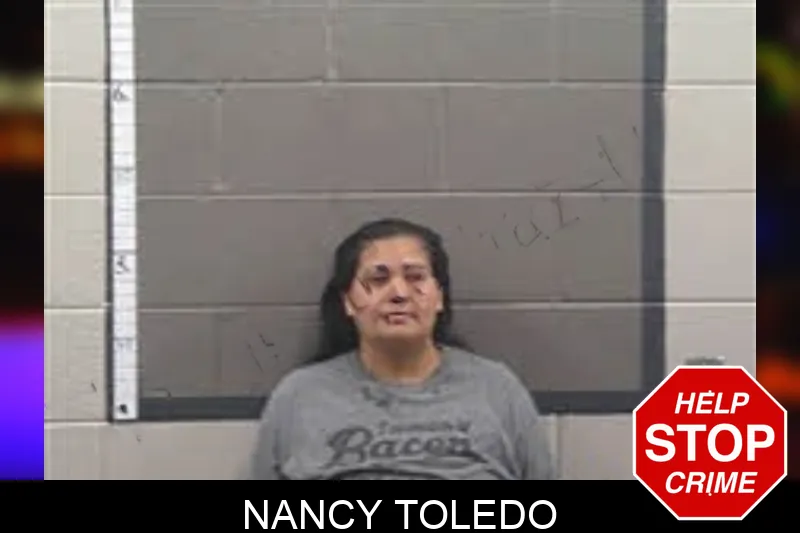 Nancy Toledo Mugshots