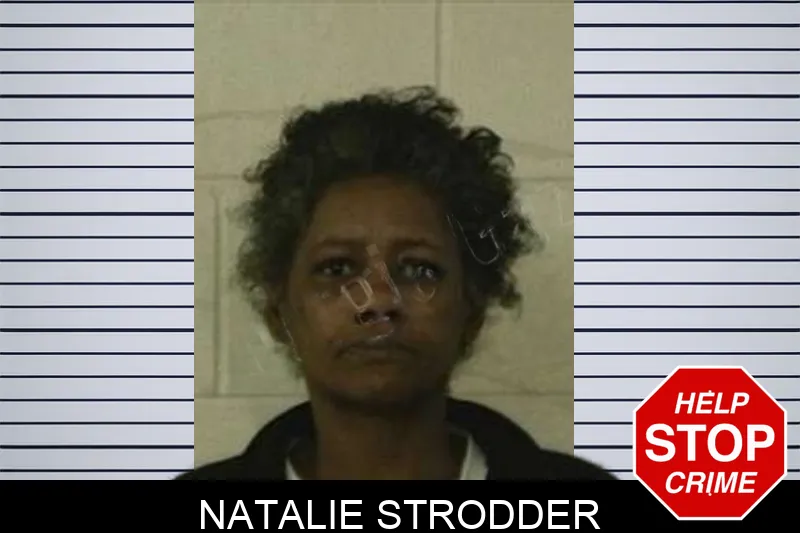 Natalie Strodder Mugshots