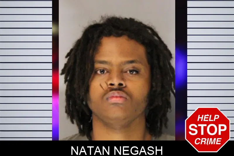 Natan Negash Mugshots