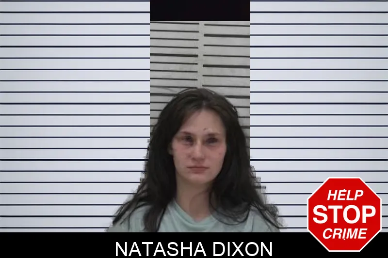 Natasha Dixon Mugshots