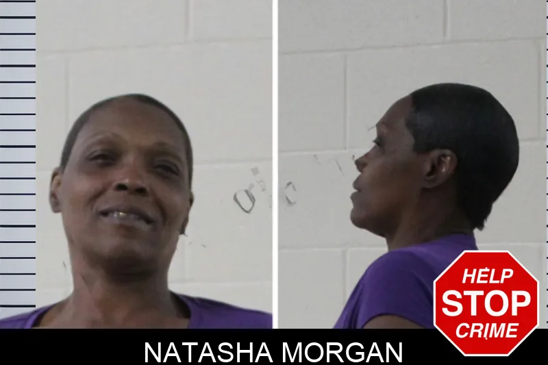 Natasha Morgan Mugshots