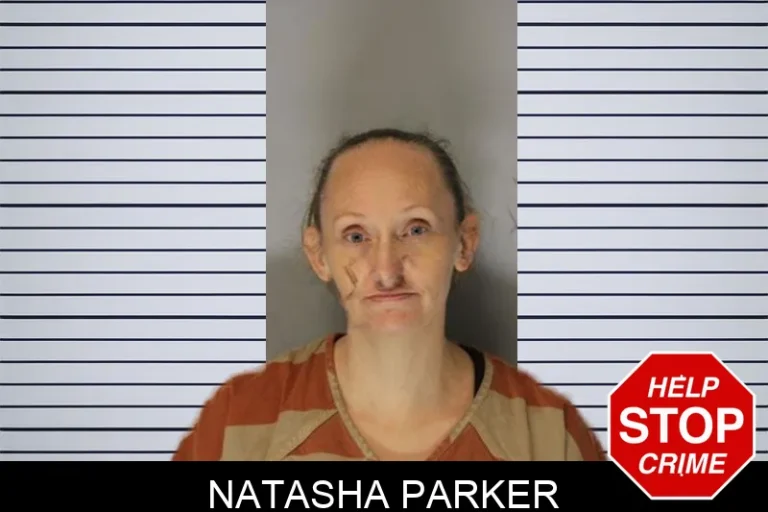 Natasha Parker mugshot – Hall County , Georgia Natasha Parker