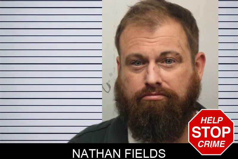 Nathan Fields Mugshots
