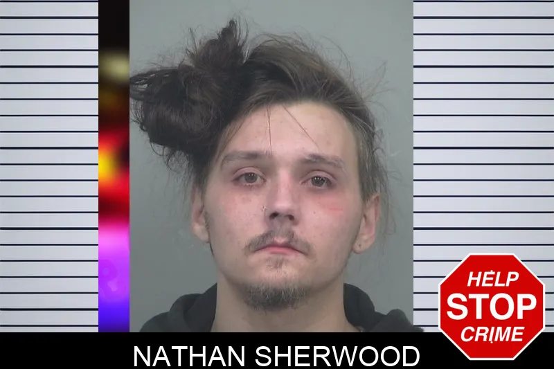 Nathan Sherwood mugshot – Gwinnett County , Georgia Nathan Sherwood mugshot