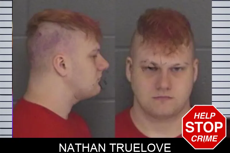 Nathan Truelove Mugshots