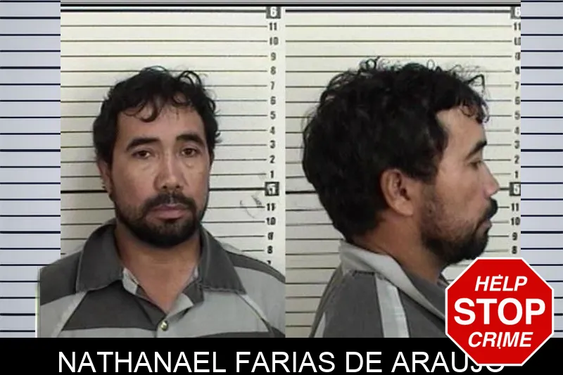 Nathanael Farias De Araujo Mugshots