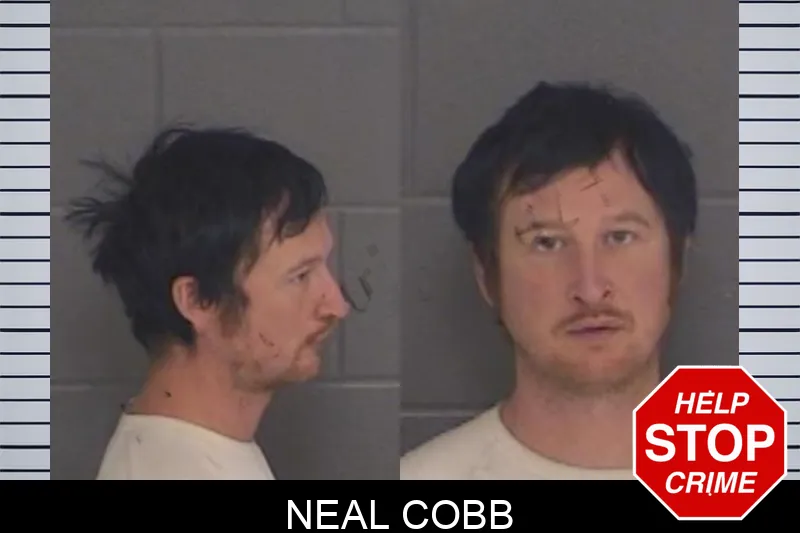 Neal Cobb Mugshots