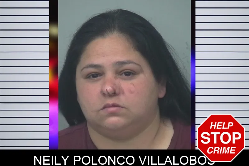 Neily Polonco Villalobos Mugshots