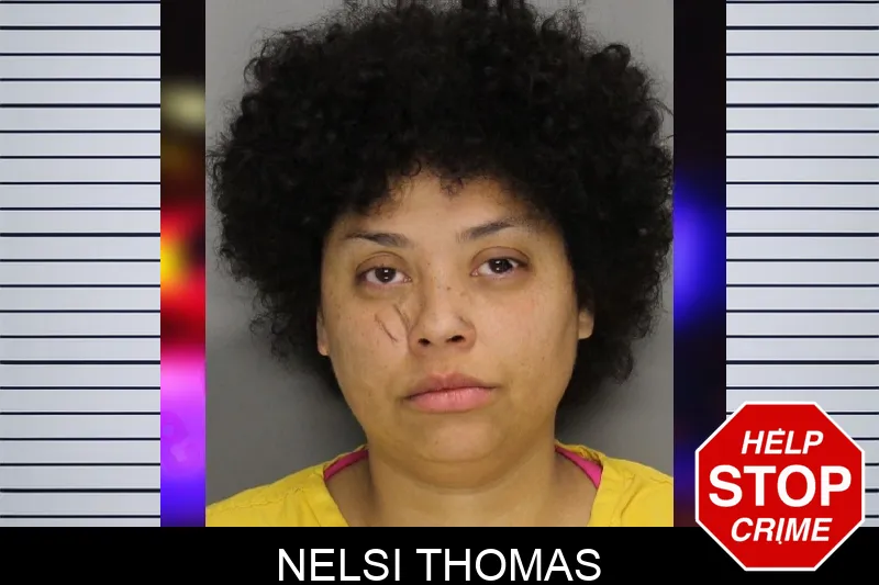 Nelsi Thomas Mugshots