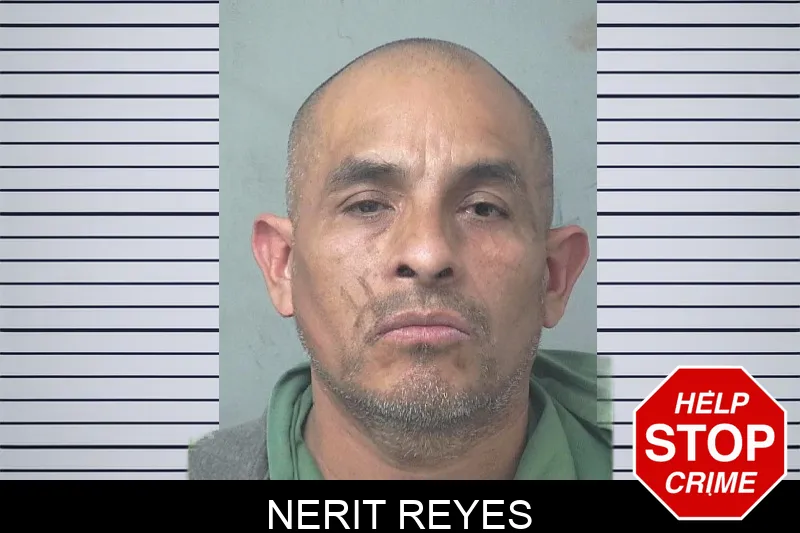Nerit Reyes Mugshots