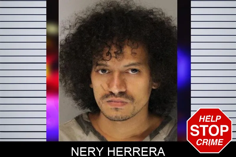 Nery Herrera mugshot