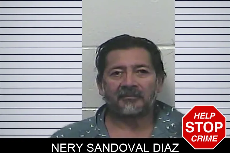 Nery Sandoval Diaz Mugshots