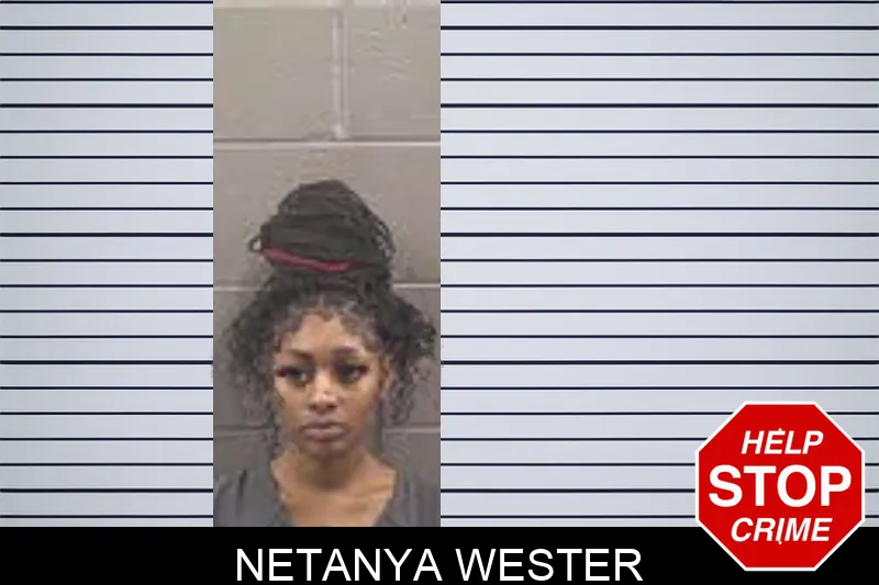 Netanya Wester Mugshots