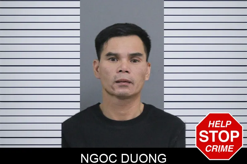 Ngoc Duong Mugshots