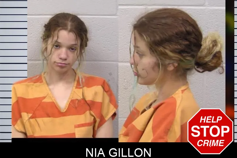 Nia Gillon Mugshots