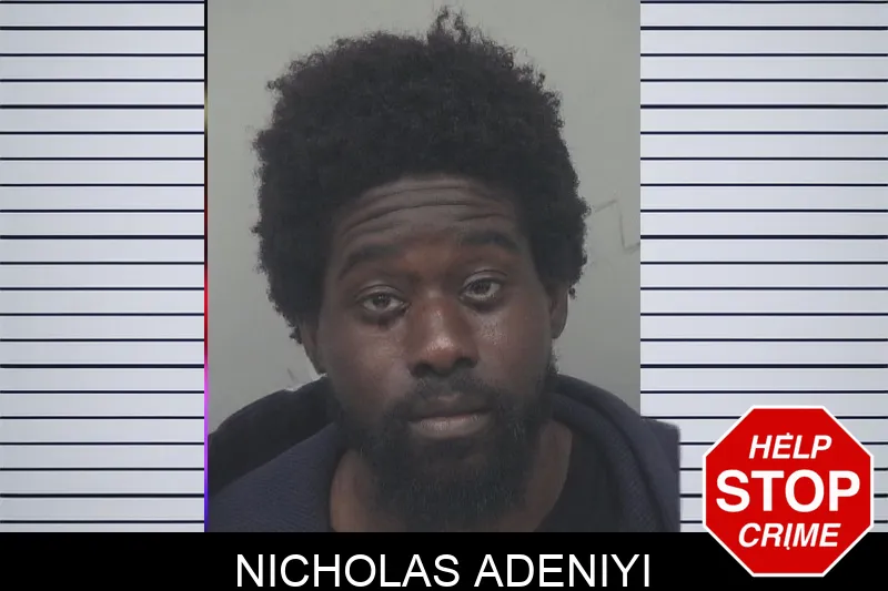 Nicholas Adeniyi Mugshots