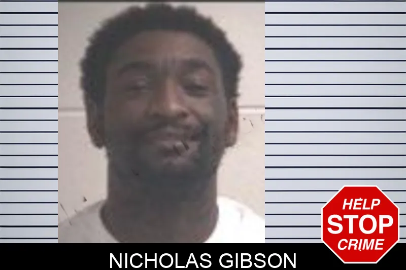 Nicholas Gibson Mugshots