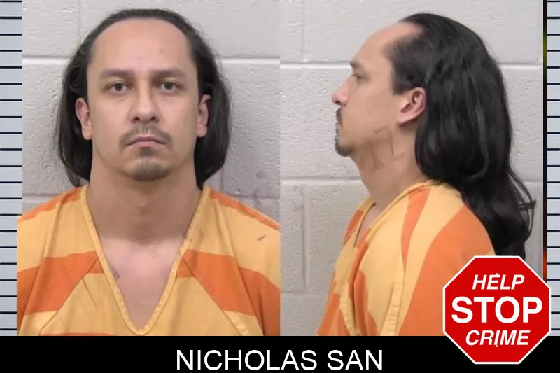 Nicholas San Mugshots