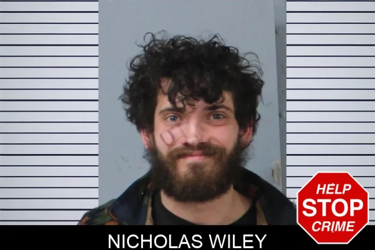Nicholas Wiley