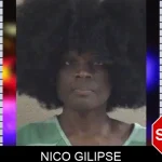 Nico Gilipse Mugshots