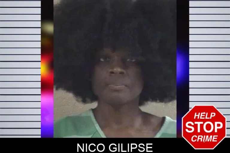 Nico Gilipse