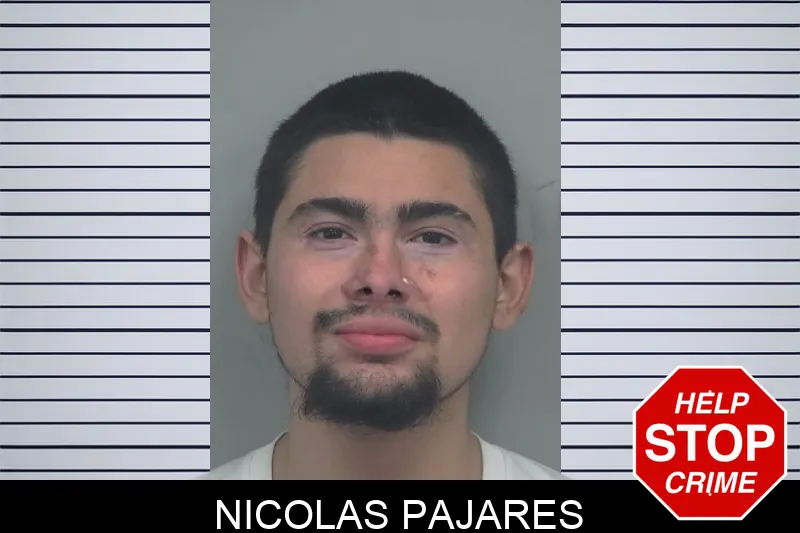 Nicolas Pajares mugshot