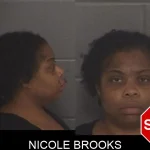 Nicole Brooks Mugshots