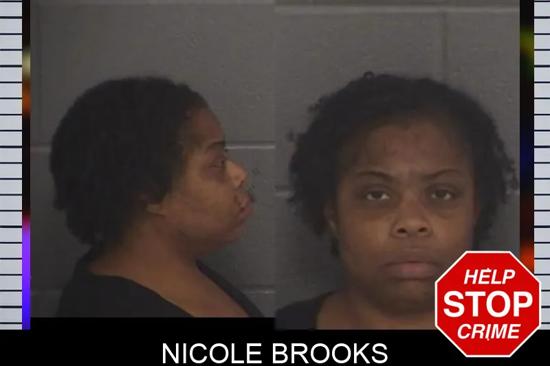 Nicole Brooks Mugshots
