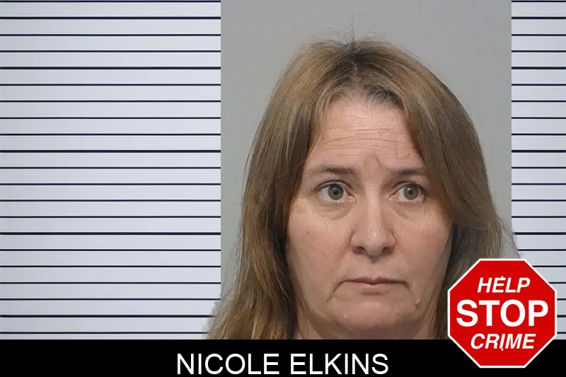 Nicole Elkins Mugshots