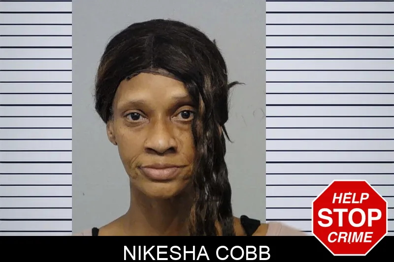 Nikesha Cobb Mugshots