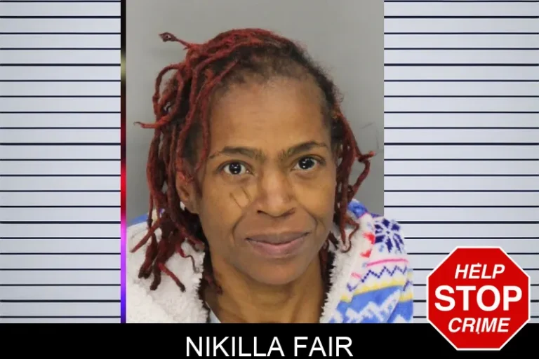 Nikilla Fair