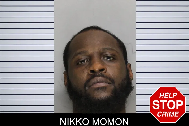 Nikko Momon Mugshots