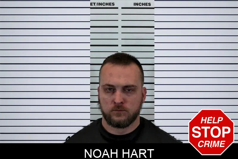 Noah Hart Mugshots
