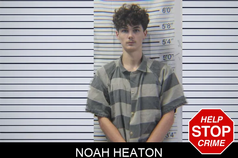 Noah Heaton Mugshots