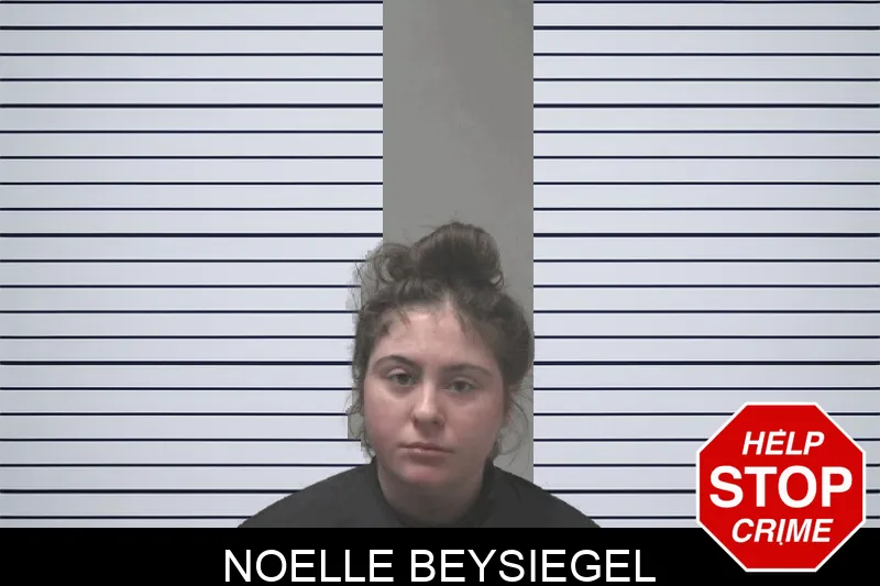 Noelle Beysiegel Mugshots