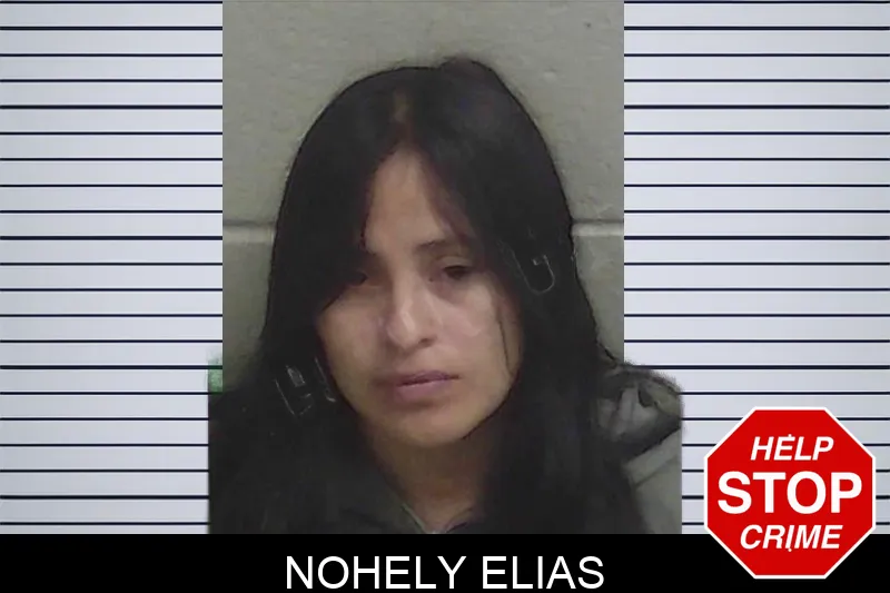 Nohely Elias Mugshots