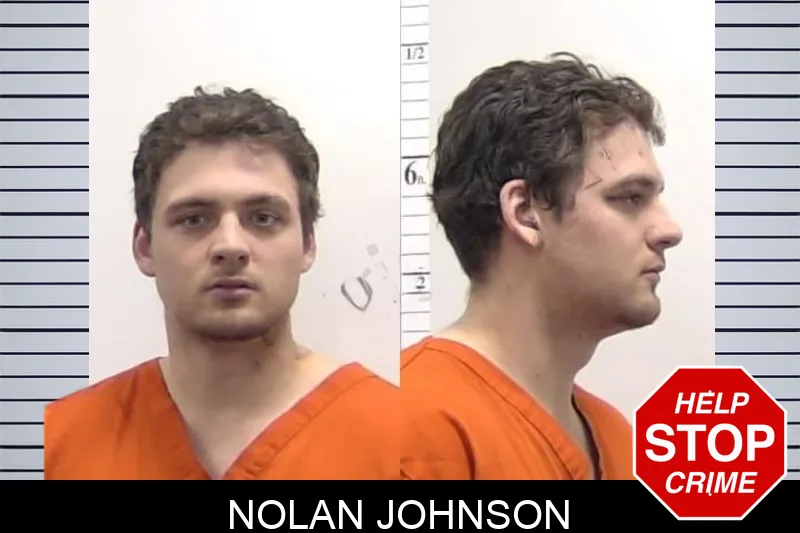 Nolan Johnson Mugshots