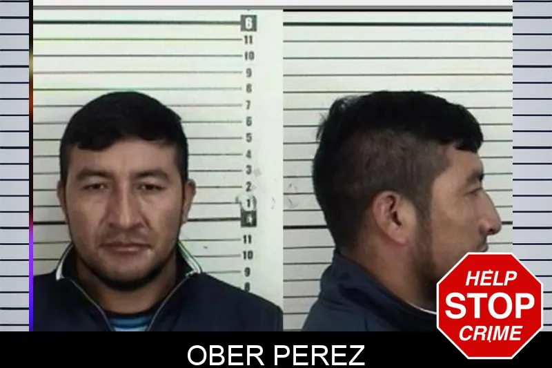 Ober Perez Mugshots