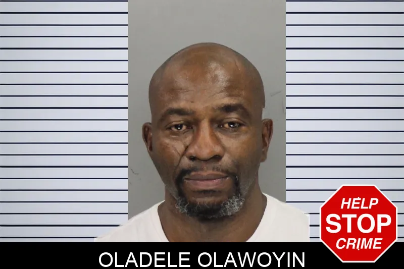 Oladele Olawoyin Mugshots