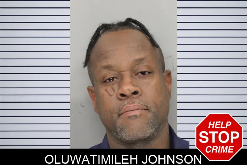 Oluwatimileh Johnson mugshot