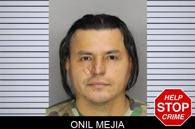 Onil Mejia Mugshots
