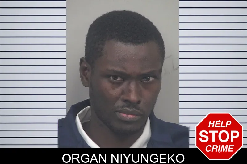 Organ Niyungeko mugshot – Gwinnett County , Georgia Organ Niyungeko mugshot