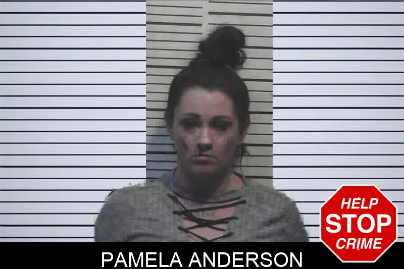 Pamela Anderson Mugshots