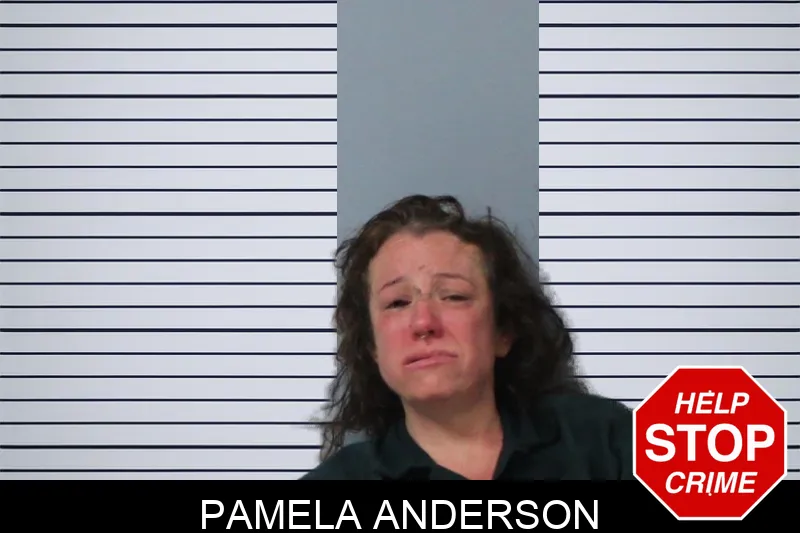 Pamela Anderson Mugshots