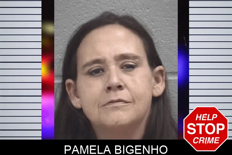Pamela Bigenho Mugshots