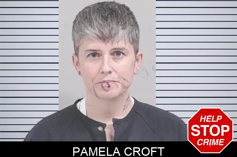 Pamela Croft Mugshots