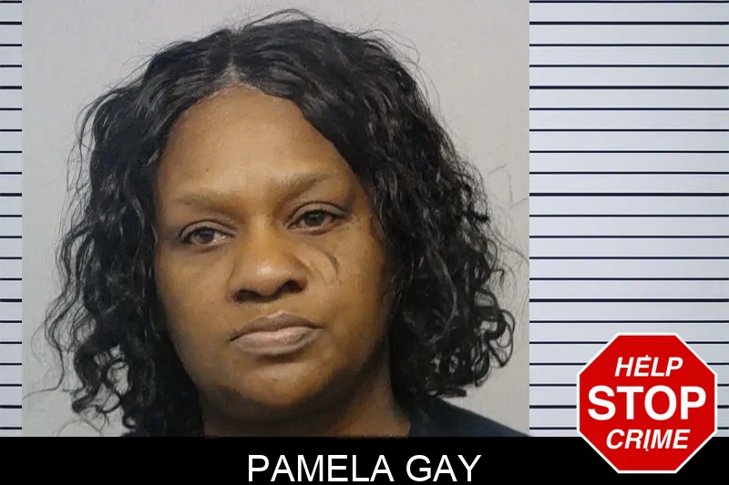 Pamela Gay Mugshots