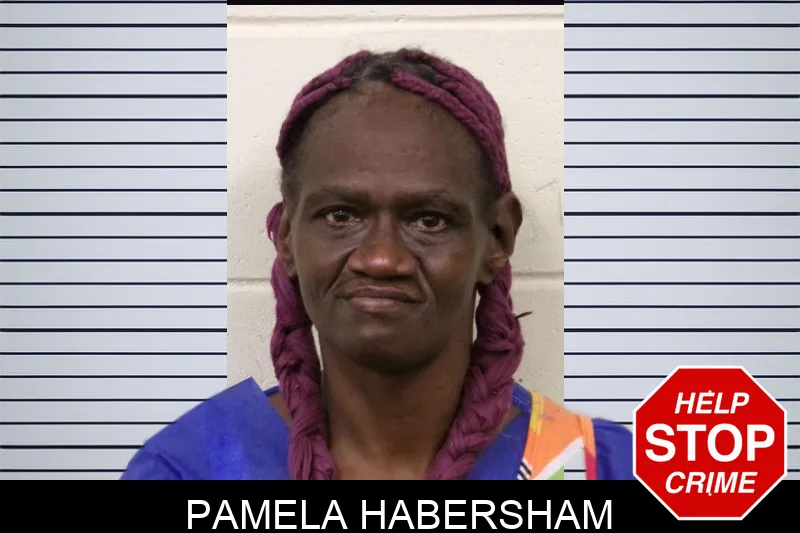 Pamela Habersham Mugshots