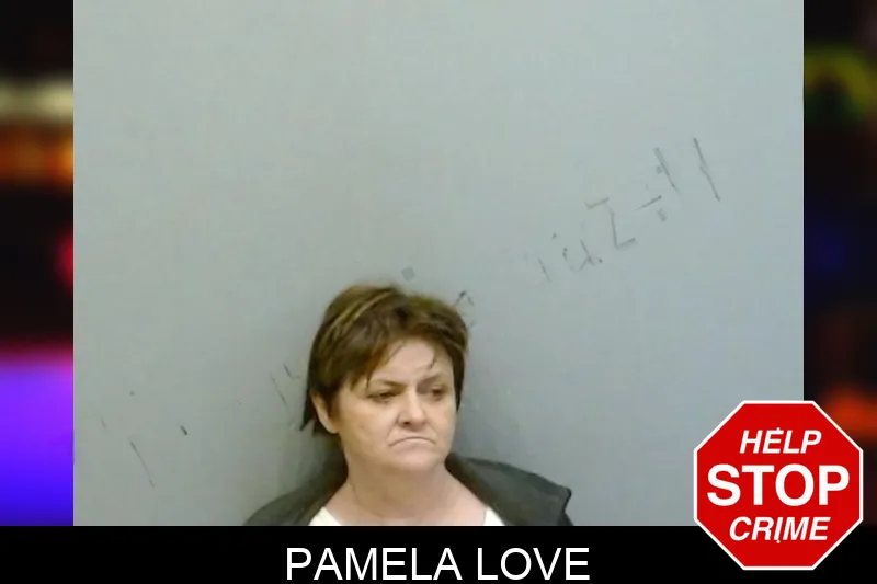 Pamela Love Mugshots