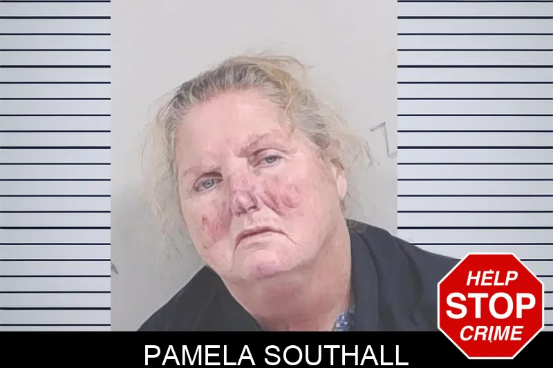 Pamela Southall Mugshots